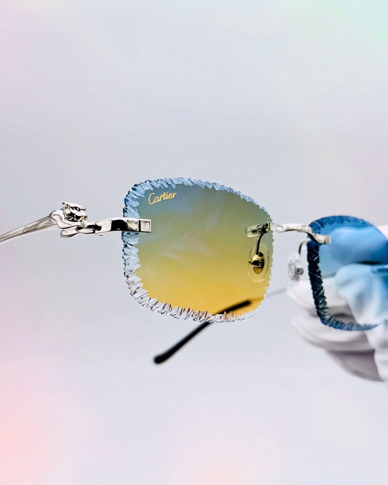 Édition Limitée I Panthère custom Platine