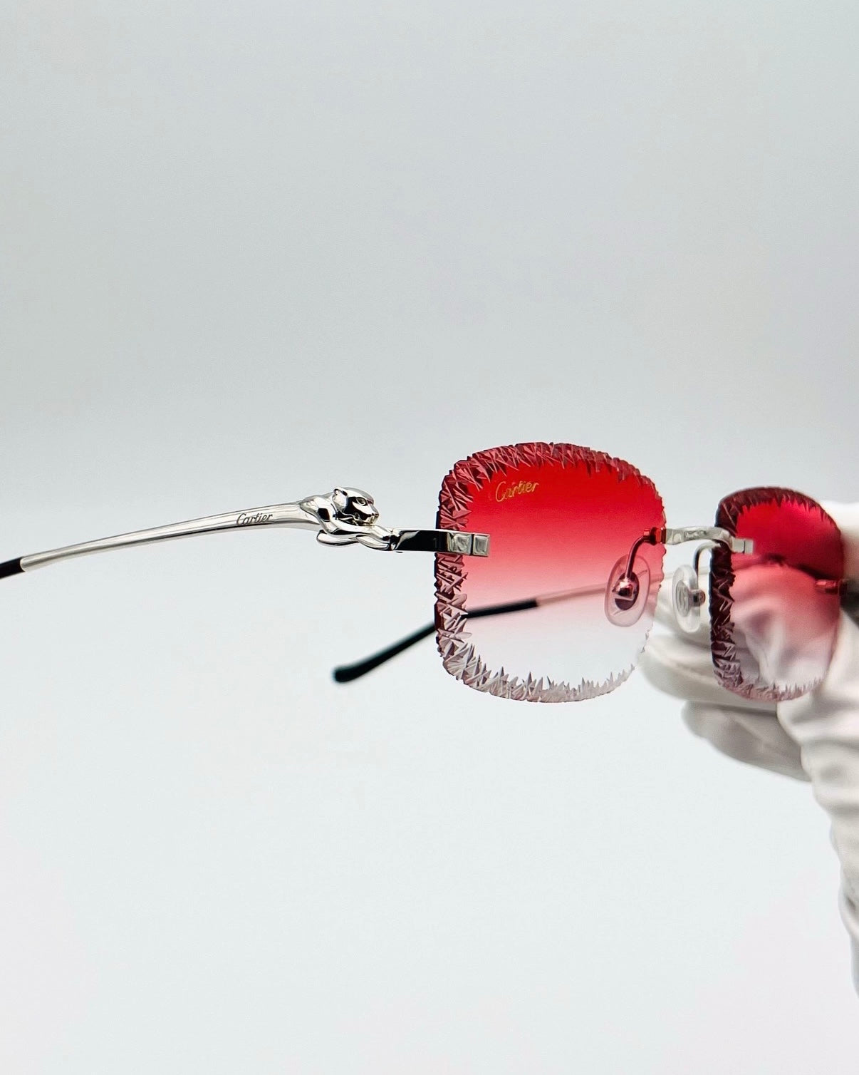 Édition Limitée I Panthère custom Platine