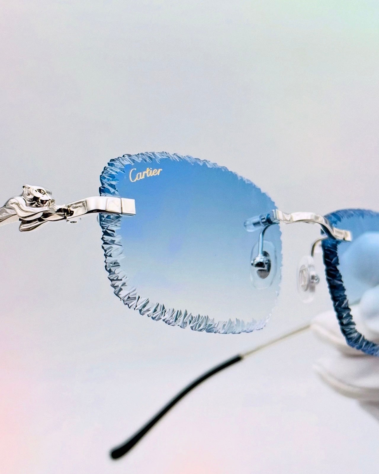 Édition Limitée I Panthère custom Platine