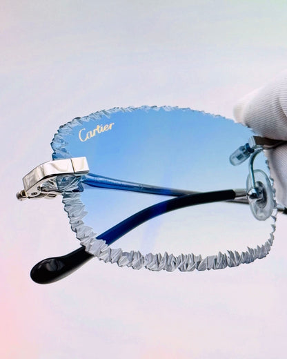 Édition Limitée I Panthère custom Platine